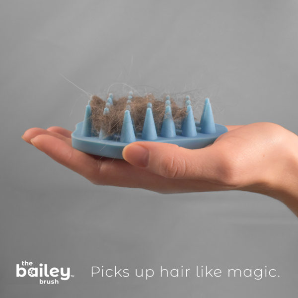 bailey brush cat brush removing hair and fur