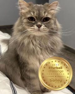 Fur Loaf Furball Challenge Competitor